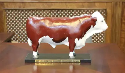 Kazak White Bull